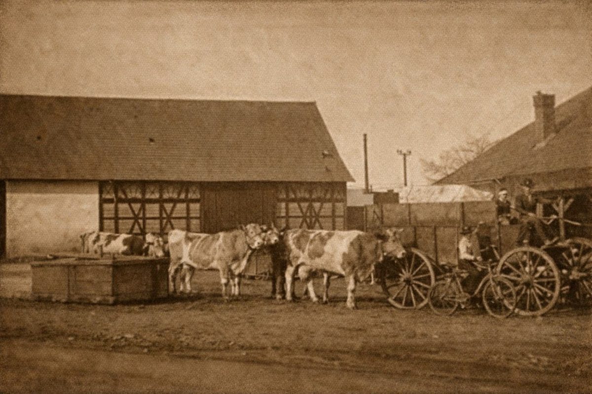 Kutsche mit Ridern auf dem Hof von Gut Buchenhof