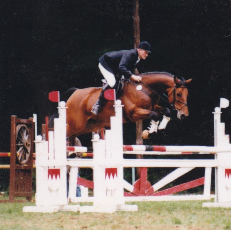 Nachwuchspferd Leone K I bei einem Springturnier mit Reimo Kalnbach