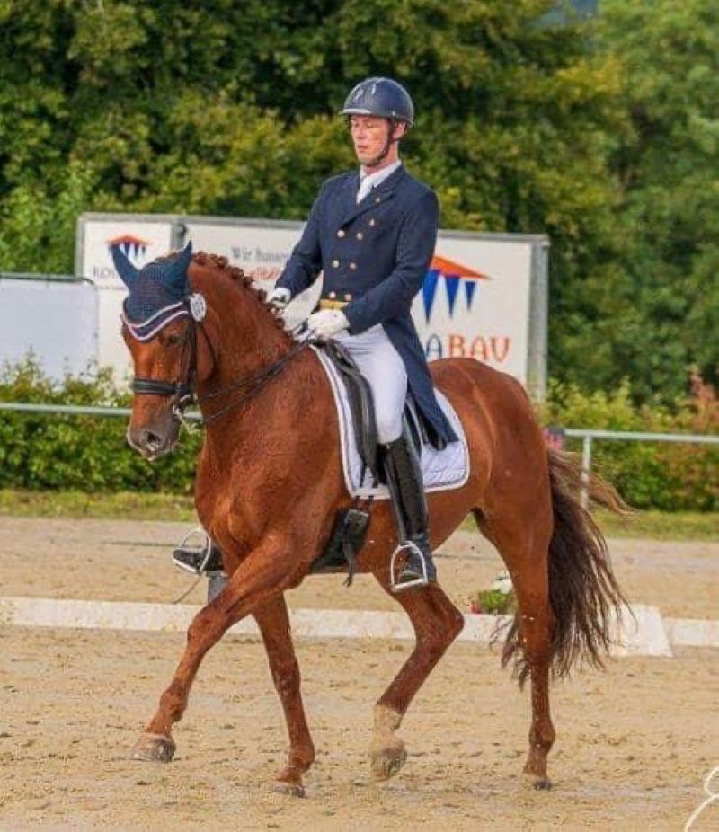 Verkaufspferd Asterix Thuringia K II im Trab auf einem Dressurturnier