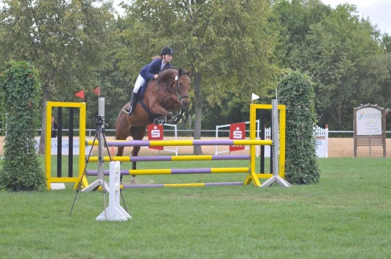 Verkaufspferd Sang Royal K I springt mit neuer Besitzerin über ein Hindernis beim Springturnier