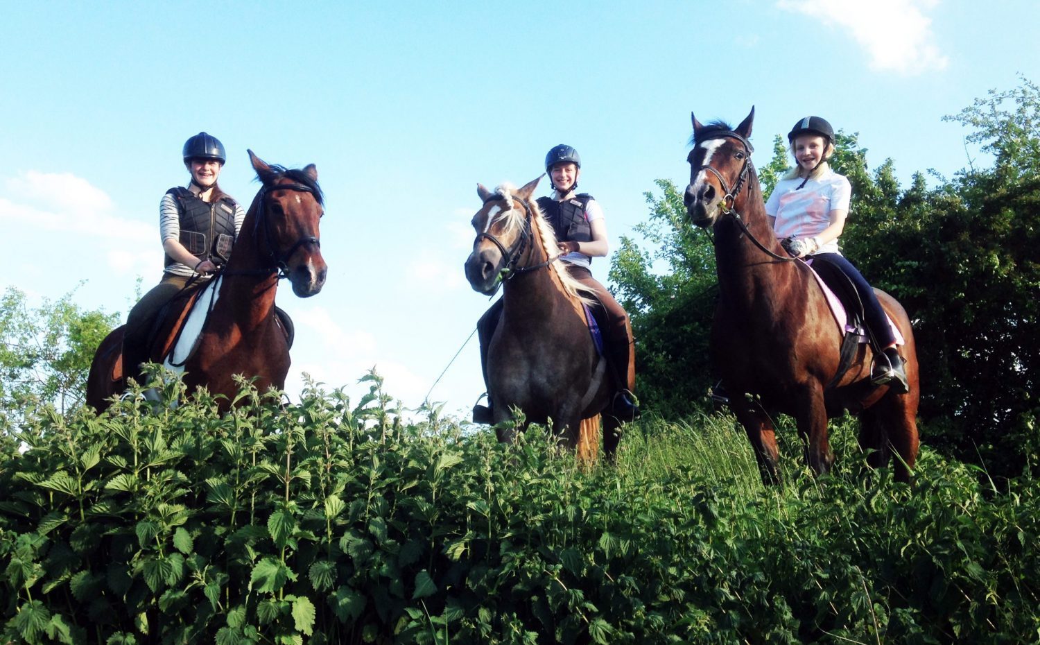 Mädchen auf Pferden