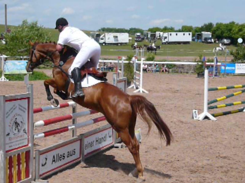 Springturnier Gut Buchenhof mit Assini K I über Oxer
